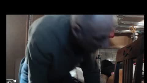 Plumerialba online show from February 2, 2025, 8:57 am