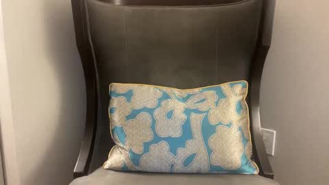 pluz69 online show from January 8, 2026, 11:34 am