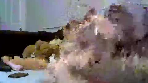 sativa  indica online show from January 12, 2026, 1:22 am