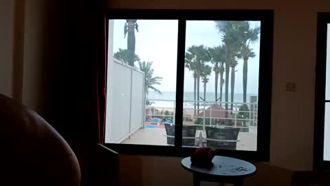 Snapshot of pollexxx66 chatting on December 16, 2025, 7:57 am Paul online show from December 16, 2025, 7:57 am