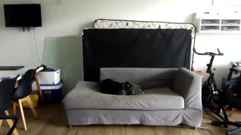 Snapshot of popopo00 chatting on January 28, 2025, 5:24 pm popopo0 online show from January 28, 2025, 5:24 pm