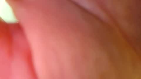 Big Dick online show from February 26, 2026, 10:14 am