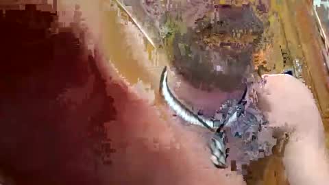 Snapshot of prettysolidd7 chatting on December 2, 2024, 2:42 am prettysolidd7 online show from December 2, 2024, 2:42 am