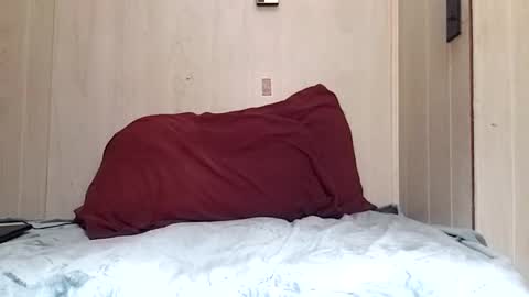 Snapshot of prettysolidd7 chatting on December 2, 2024, 8:52 am prettysolidd7 online show from December 2, 2024, 8:52 am