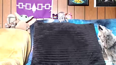 Snapshot of prettysolidd7 chatting on January 5, 2025, 2:52 pm prettysolidd7 online show from January 5, 2025, 2:52 pm