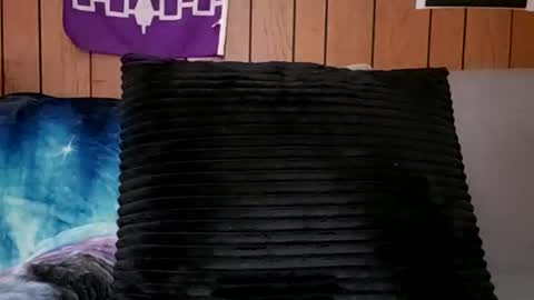 Snapshot of prettysolidd7 chatting on February 24, 2025, 11:21 am prettysolidd7 online show from February 24, 2025, 11:21 am