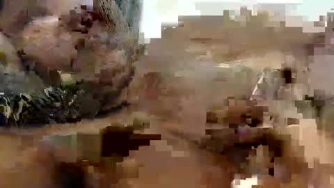 Princess Asshole online show from October 9, 2025, 10:24 am