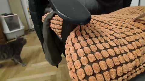 Prince Of Prague online show from March 2, 2025, 2:19 am