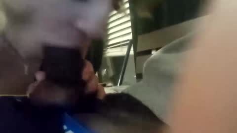 Snapshot of princessbrii537133 chatting on October 16, 2025, 3:40 am princessbrii537133 online show from October 16, 2025, 3:40 am