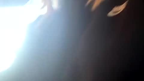 princesskitties online show from May 10, 2026, 4:28 am