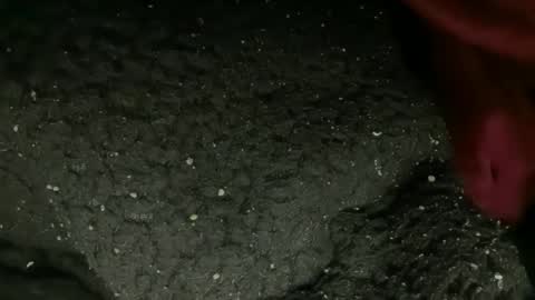 Snapshot of princessoftenis44 chatting on January 9, 2026, 1:08 am princessoftenis44 online show from January 9, 2026, 1:08 am