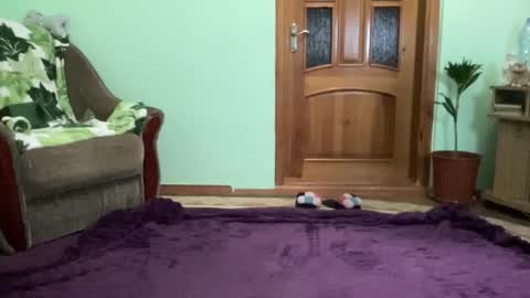 proud sweet 21 online show from September 8, 2025, 9:58 pm