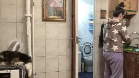 Snapshot of proud_sweet_21 chatting on February 1, 2026, 11:47 pm proud sweet 21 online show from February 1, 2026, 11:47 pm