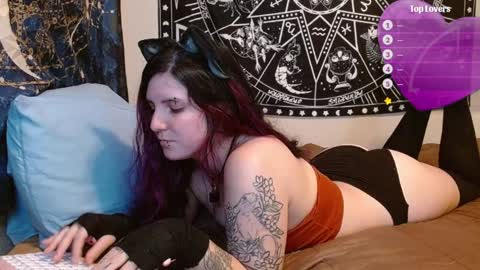 Snapshot of psychoactivekitten chatting on February 4, 2025, 8:17 pm Jay online show from February 4, 2025, 8:17 pm