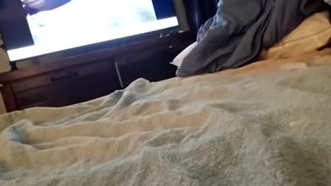 Snapshot of ptut82 chatting on September 18, 2025, 7:10 am ptut82 online show from September 18, 2025, 7:10 am