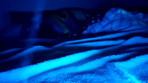 Snapshot of ptut82 chatting on February 15, 2026, 9:41 am ptut82 online show from February 15, 2026, 9:41 am