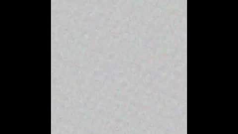 Public online show from January 13, 2026, 9:03 am