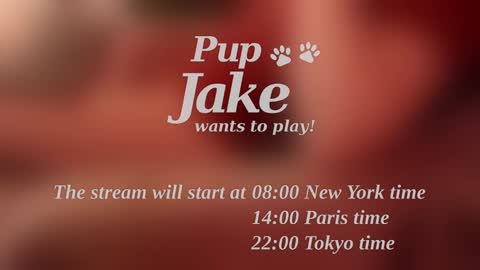 Snapshot of pup_jake chatting on December 25, 2024, 12:05 pm Pup Jake wants to play online show from December 25, 2024, 12:05 pm
