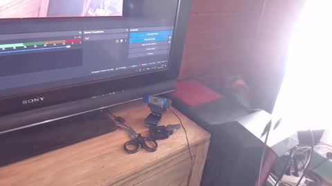 Pup Jake wants to play online show from November 30, 2025, 1:59 pm