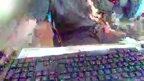 pup_y online show from September 20, 2025, 3:02 pm