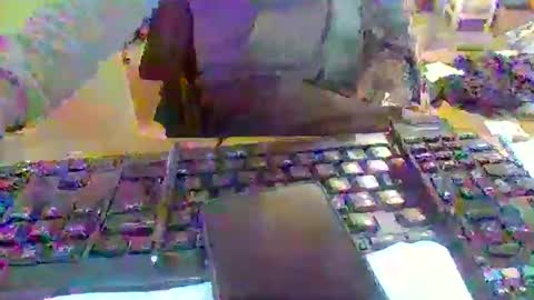 pup_y online show from December 16, 2025, 10:53 am