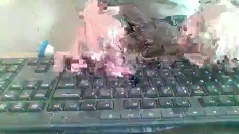 pup_y online show from January 9, 2026, 9:56 am