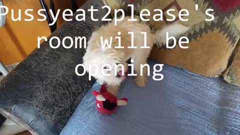 Rick online show from March 11, 2025, 10:29 am