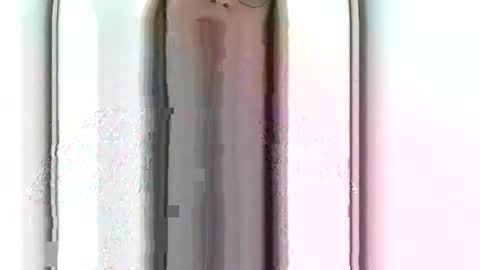 Alice online show from February 7, 2026, 5:05 pm