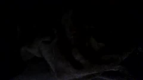 quincy joy11 online show from March 2, 2026, 7:15 am