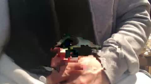 Raccoon68 online show from April 8, 2026, 12:16 pm