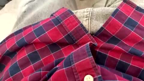 rad2615782 online show from February 10, 2026, 10:19 am