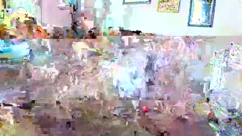 raiderred69 online show from February 6, 2025, 9:49 pm