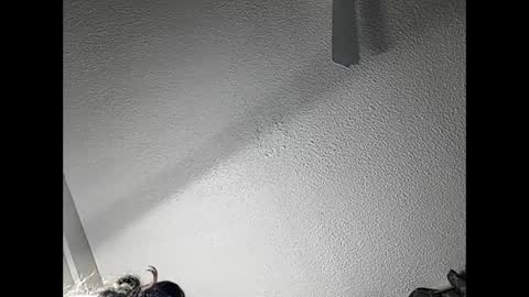 RamonaJ online show from February 21, 2025, 4:51 am