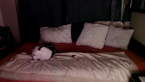    RAMONA Q   online show from December 20, 2024, 8:49 am