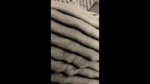 Snapshot of randyjohnson504 chatting on November 9, 2025, 5:06 am randyjohnson504 online show from November 9, 2025, 5:06 am