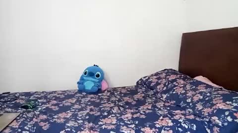 Rangel and Lola online show from February 24, 2025, 6:47 pm