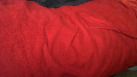 Snapshot of raymondo1964 chatting on November 12, 2025, 11:47 pm raymondo1964 online show from November 12, 2025, 11:47 pm