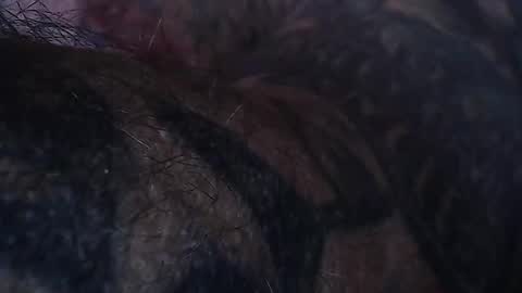 realrubpirate online show from February 17, 2026, 8:11 am