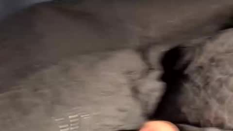 Snapshot of rebornbutbored chatting on November 15, 2025, 11:40 am rebornbutbored online show from November 15, 2025, 11:40 am