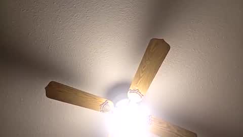 red24devils online show from December 3, 2025, 5:04 am