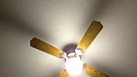 red24devils online show from February 2, 2026, 8:07 pm