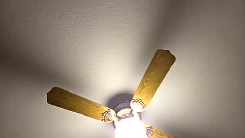 red24devils online show from March 5, 2026, 1:56 am