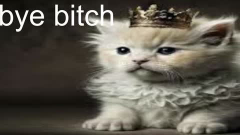 QUEEN OF EVIL online show from December 28, 2024, 5:02 am