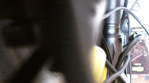 redorchard online show from February 17, 2025, 6:04 pm