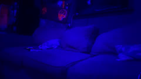 Lee online show from March 10, 2026, 1:54 am