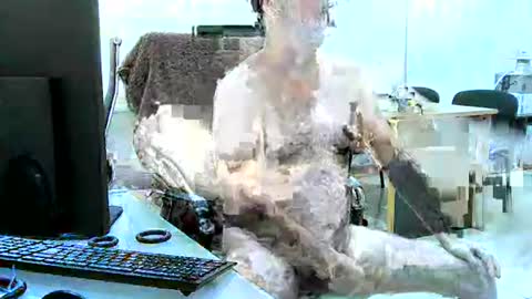 region4 online show from April 19, 2026, 6:10 pm