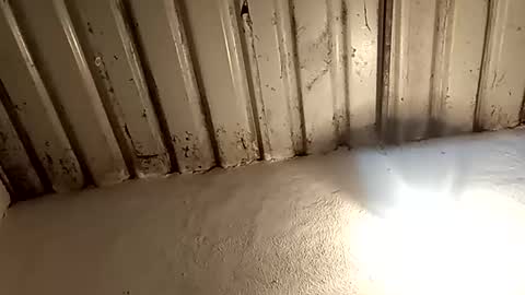 Snapshot of reinft chatting on February 11, 2026, 2:16 am reinft online show from February 11, 2026, 2:16 am