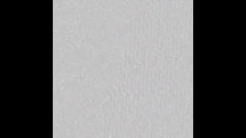 Renae Tom online show from October 28, 2025, 11:25 am