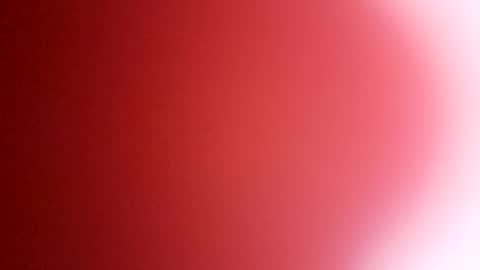 rhino69xx online show from December 8, 2024, 6:54 am