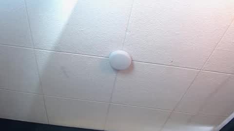 Ricardo online show from September 19, 2025, 1:45 pm